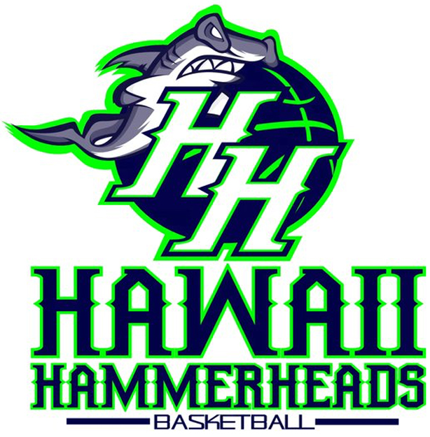 Hawaii Hammerheads 2016-Pres Alternate Logo iron on transfers for clothing